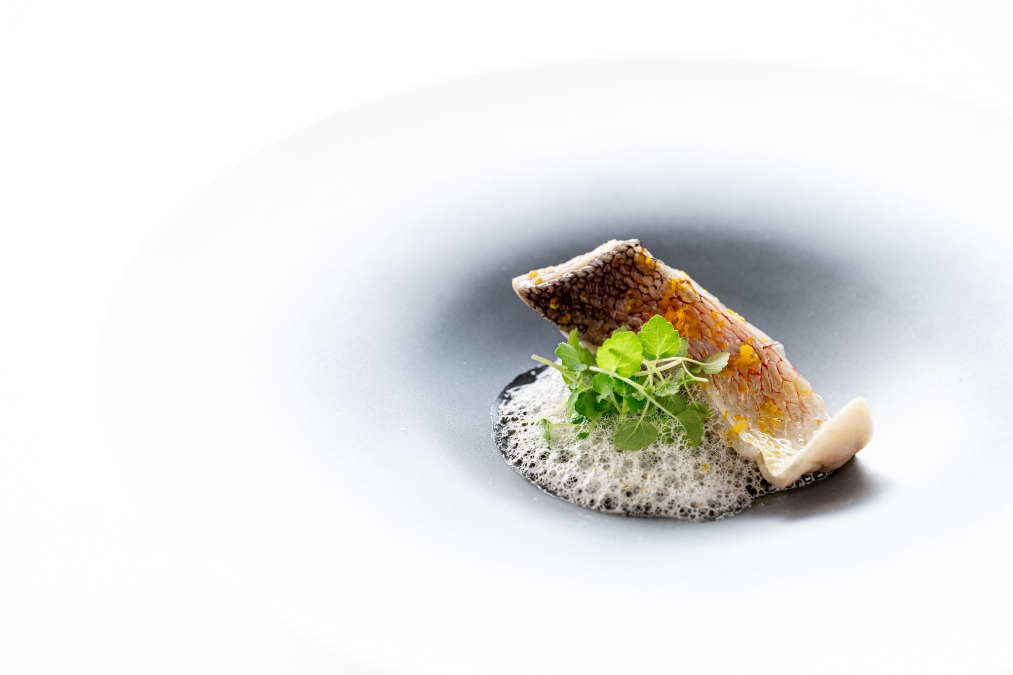 価格改定のご案内