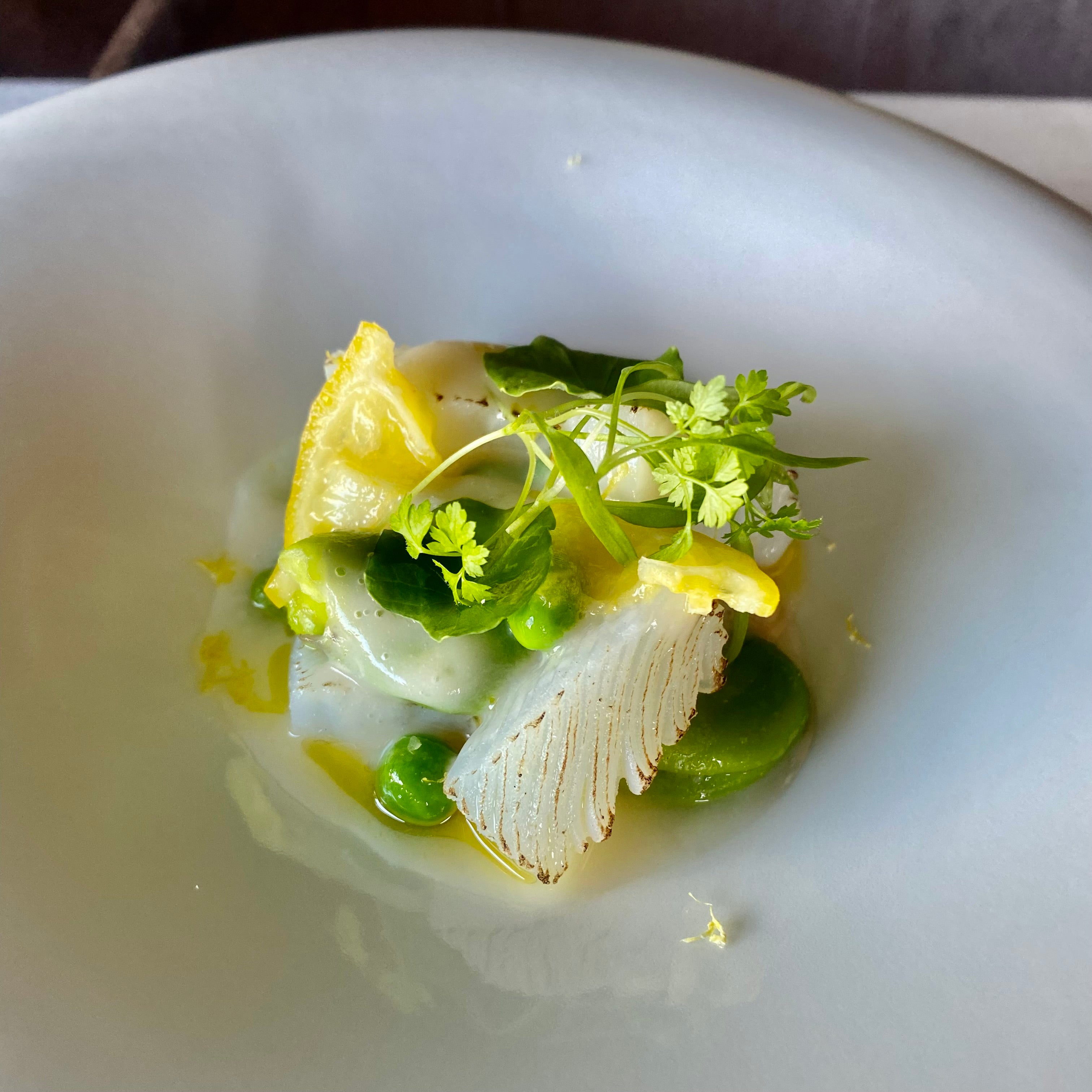 2024年の営業がスタートしました